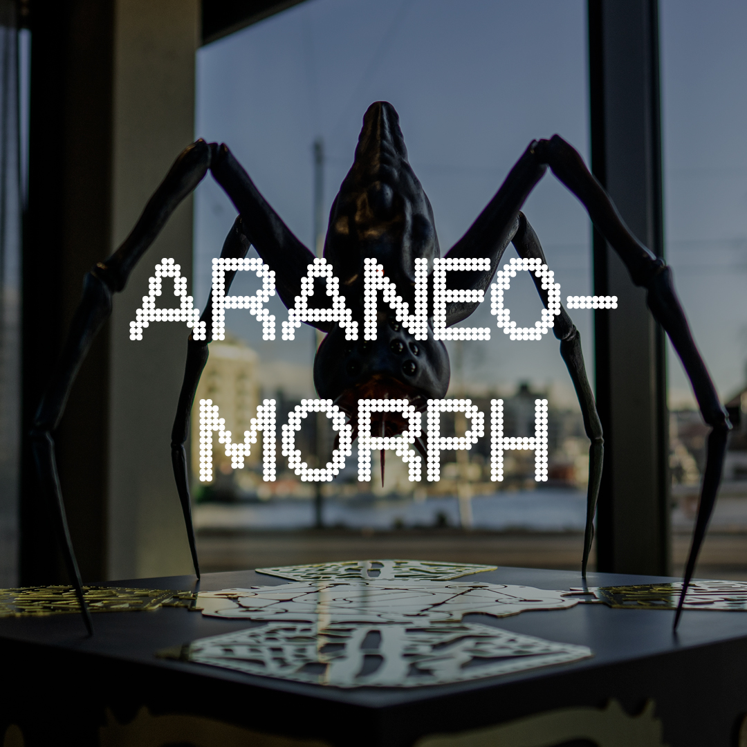 araneomorph_1x1